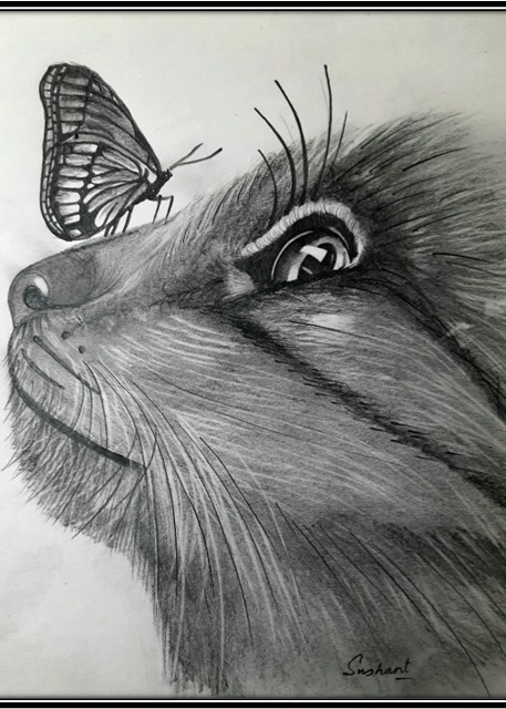 WhatsApp Image 2025-12-11 at 18.24.39.jpeg